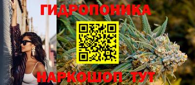 PSILOCYBIN Гай