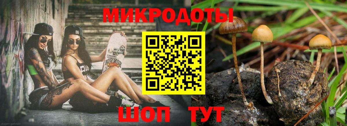 Кулебаки  Галлюциногенные грибы ЛСД  Вход с VPN  Псилоцибиновые грибы ЛСД 