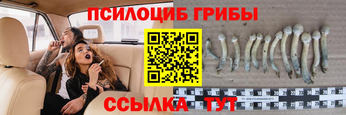 Галлюциногенные грибы мухоморы Кулебаки