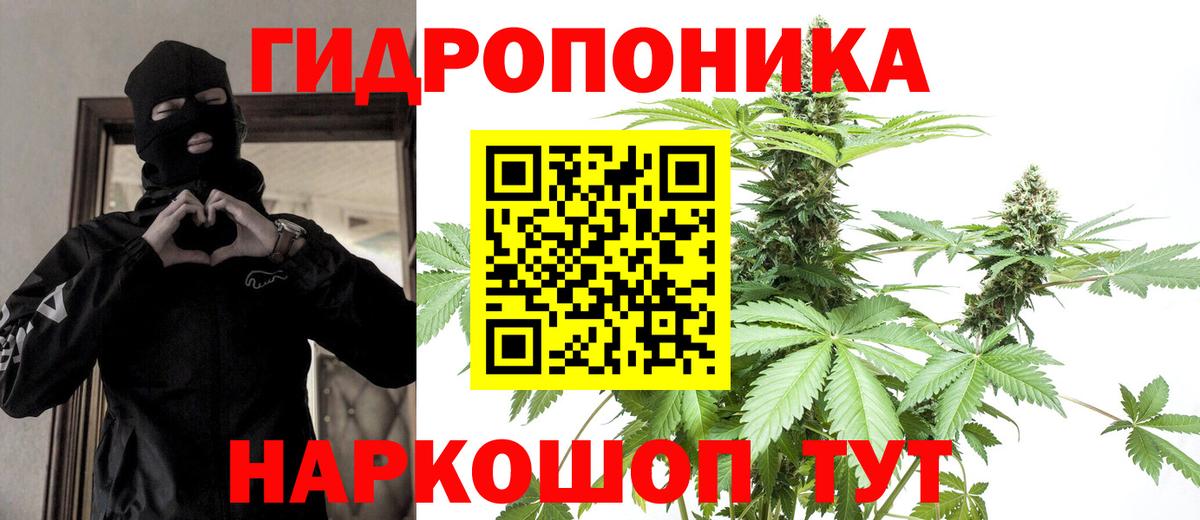 Бошки марихуана VHQ  Шишки марихуана Ganja  Шишки марихуана конопля  Вход с VPN  Канабис OG Kush  Кулебаки 